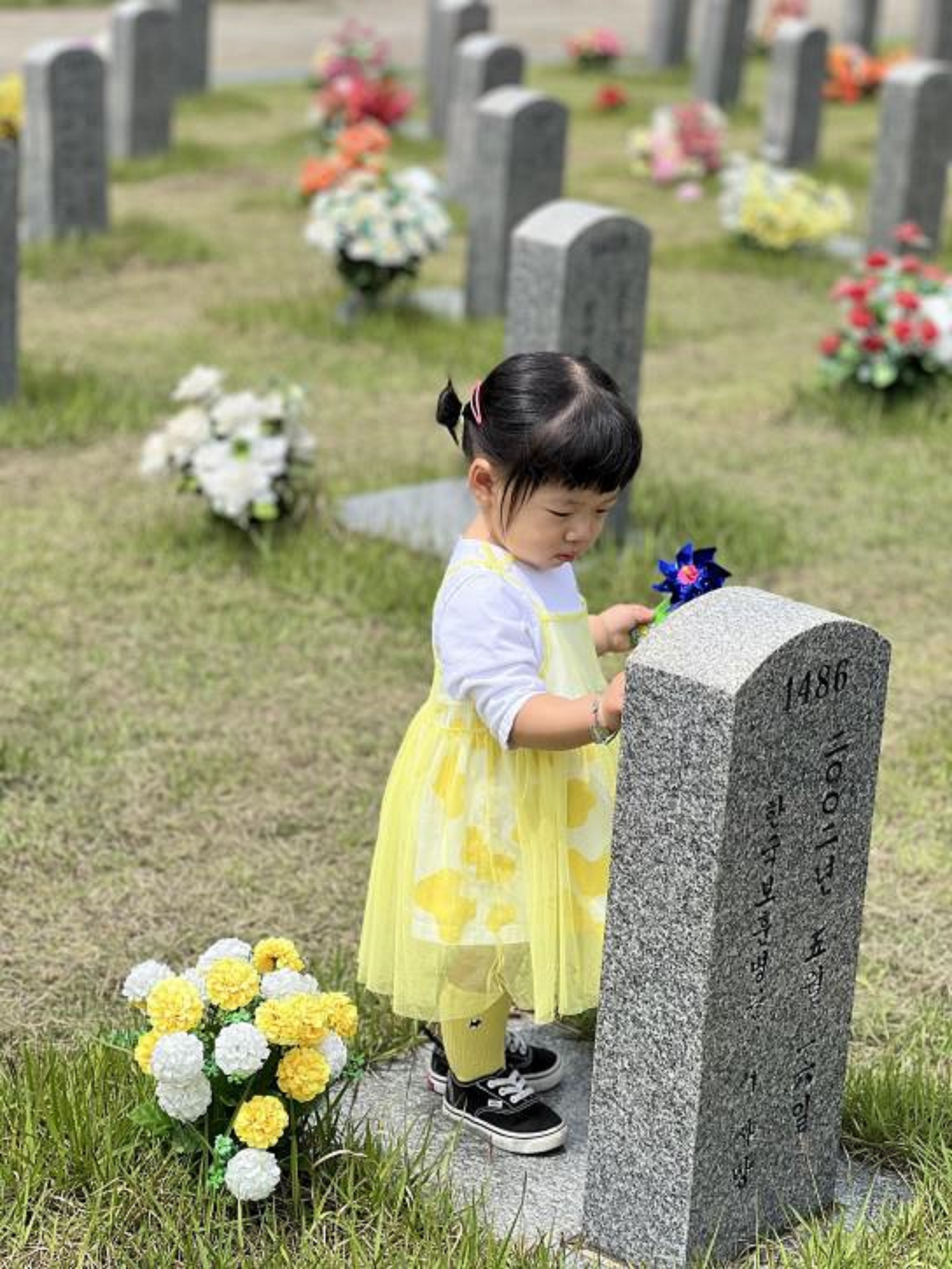 입선 대전현충원