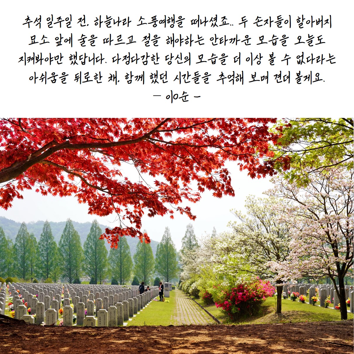 하늘나라우체통19