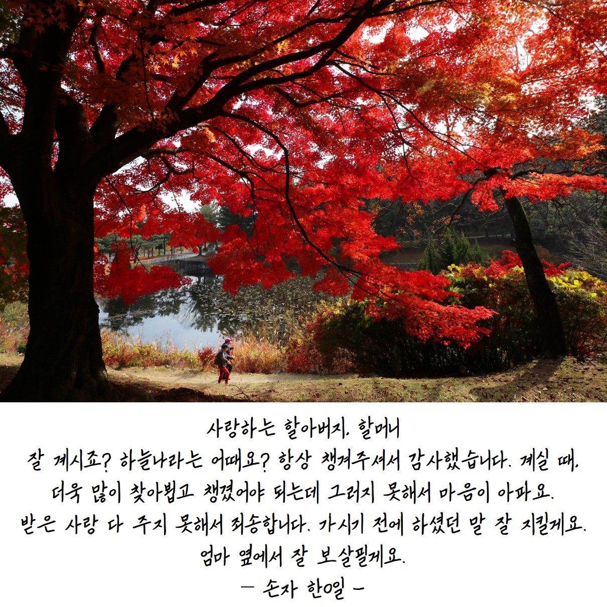 하늘나라우체통18