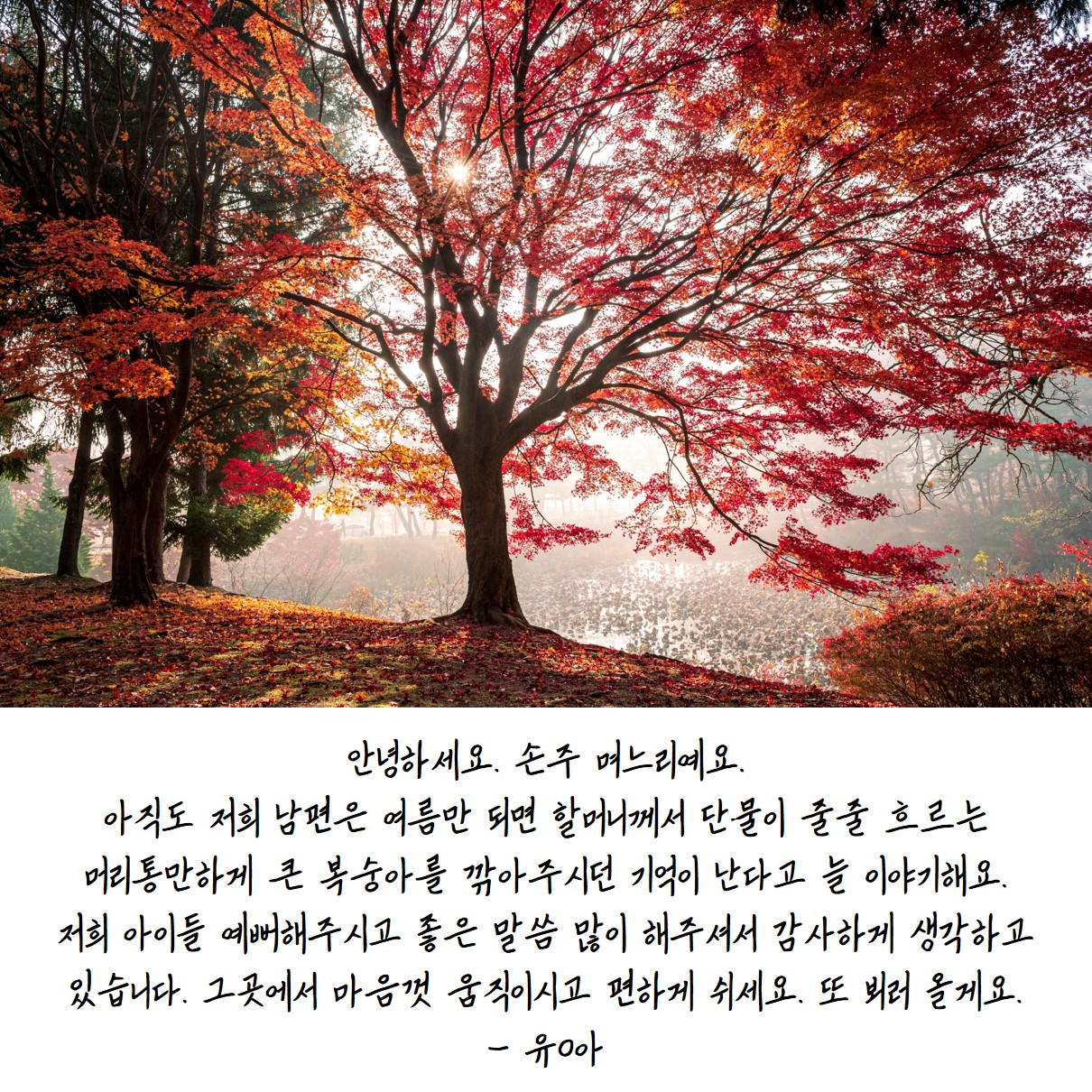 하늘나라우체통14