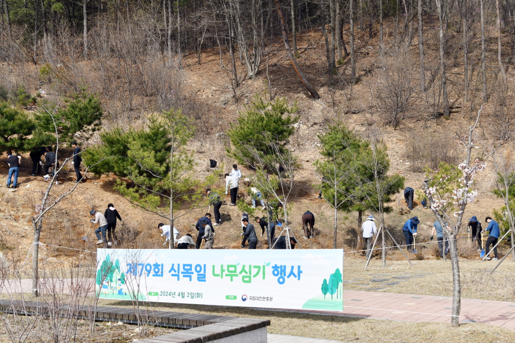 축소 CSB9644