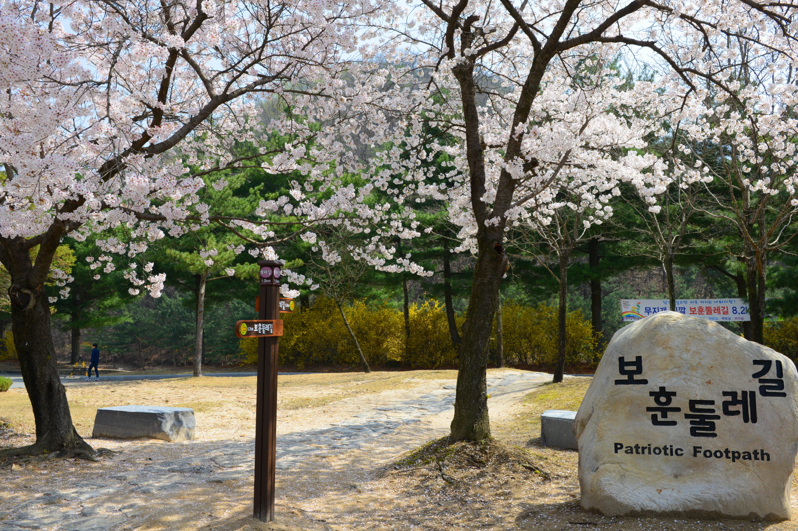 [크기변환]보훈둘레길(보라길_입구)