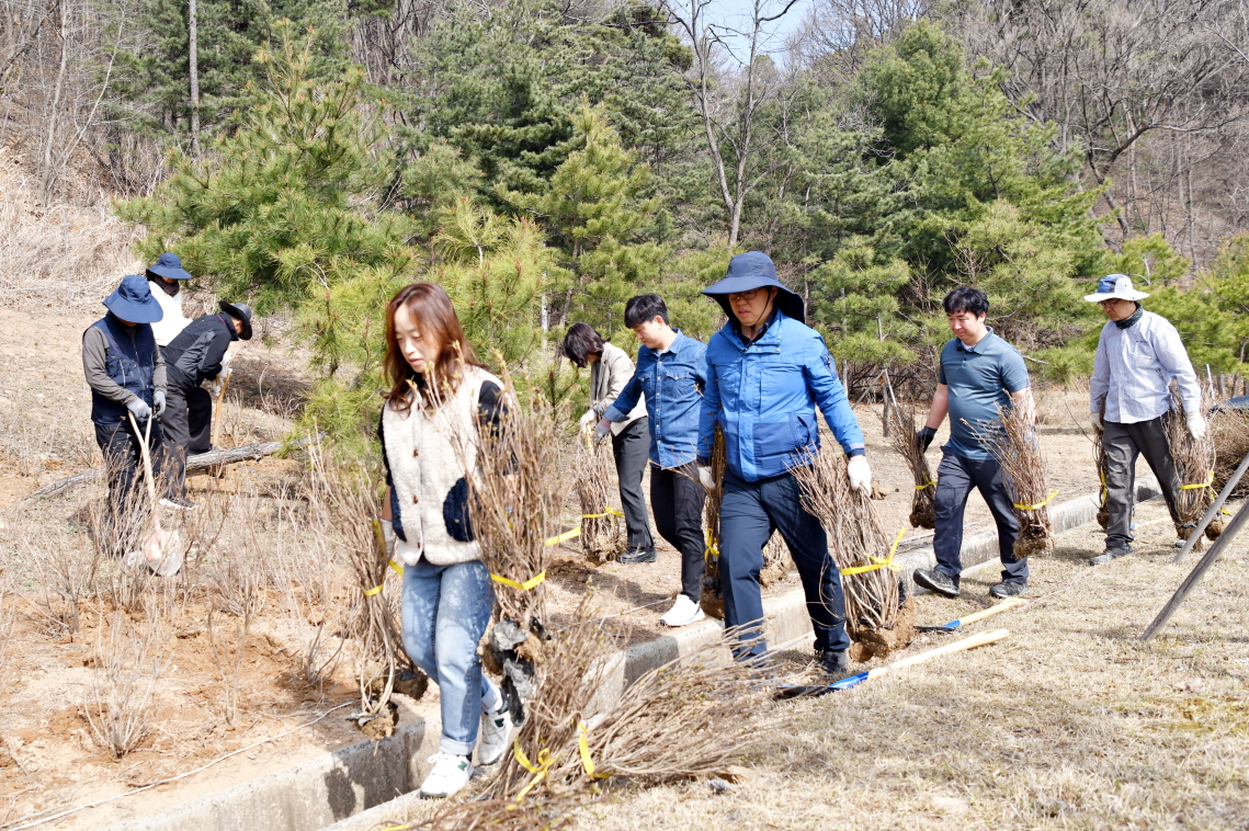 축소 CSB9560
